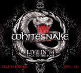 11 whitesnake