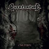 03 overtorture