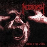 10 necropsy
