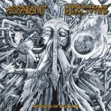 04 assailant