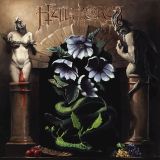 06 helleborus