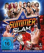 11 wwesummerslam