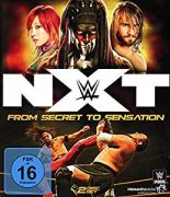 11 wwenxt1