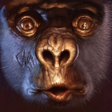 01 Chuck Norris Experiment