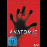 10 anatomie